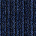 161 gentian